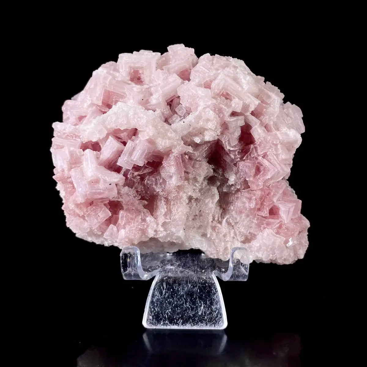 Pink Halite | Natural Bladed Halite Mineral Specimen | Rose-Form Crystal Formation | 240 g | 10*8*4.5 cm