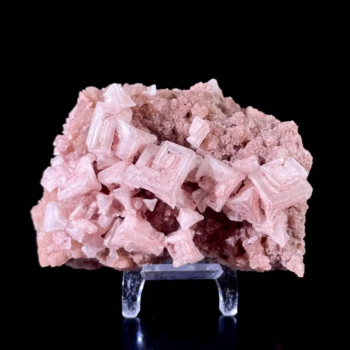 Pink Halite | Natural Bladed Halite Mineral Specimen | Rose-Form Crystal Formation | 240 g | 10*7.5*5 cm