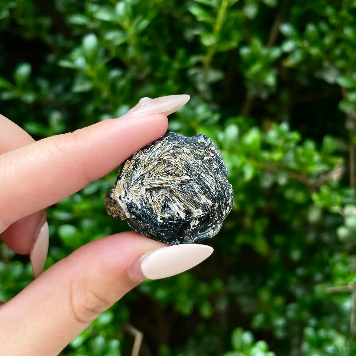 Natural Specularite  Flower on Matrix | Rare Metallic Iron Oxide Mineral Specimen from Guangdong, China | Mineral Collection Grade Display Piece | 23 g | 3*2.7*1.5 cm