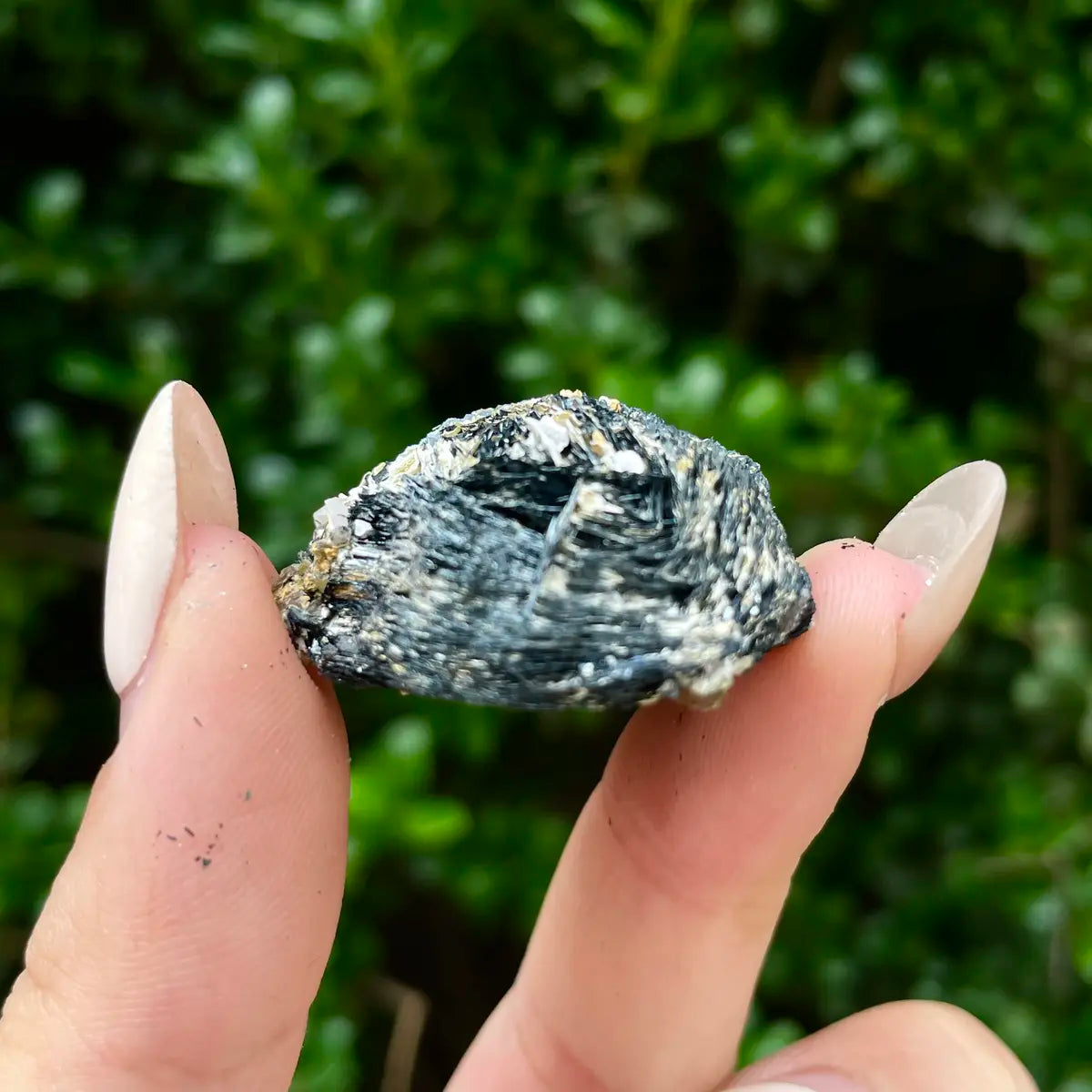 Natural Specularite  Flower on Matrix | Rare Metallic Iron Oxide Mineral Specimen from Guangdong, China | Mineral Collection Grade Display Piece | 23 g | 3*2.7*1.5 cm