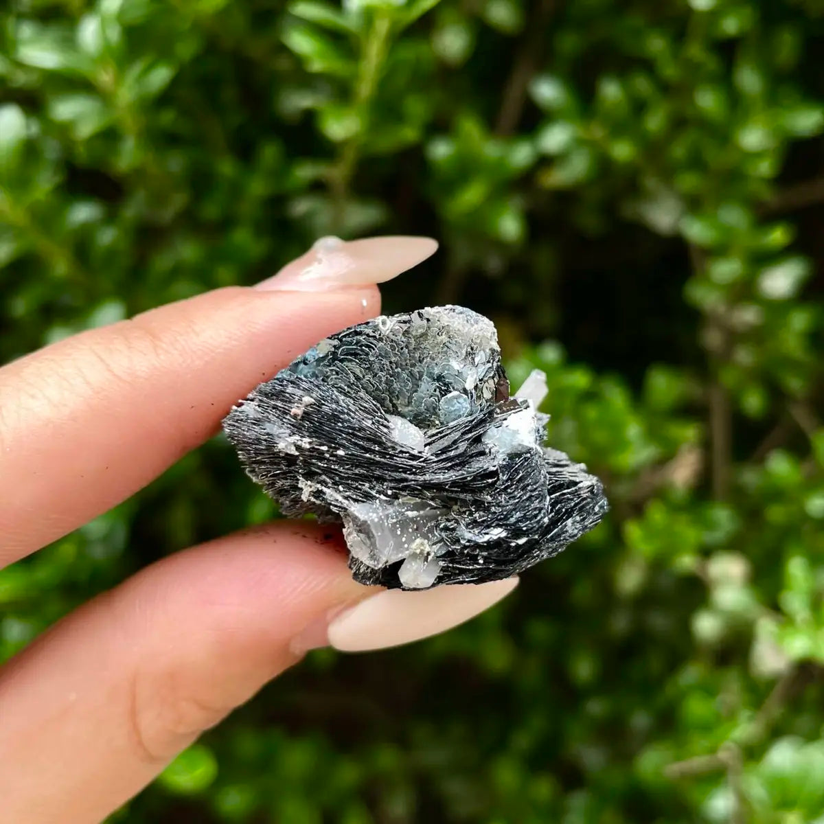Natural Specularite  Flower on Matrix | Rare Metallic Iron Oxide Mineral Specimen from Guangdong, China | Mineral Collection Grade Display Piece | 200 g | 3.5*2.8*2.3 cm
