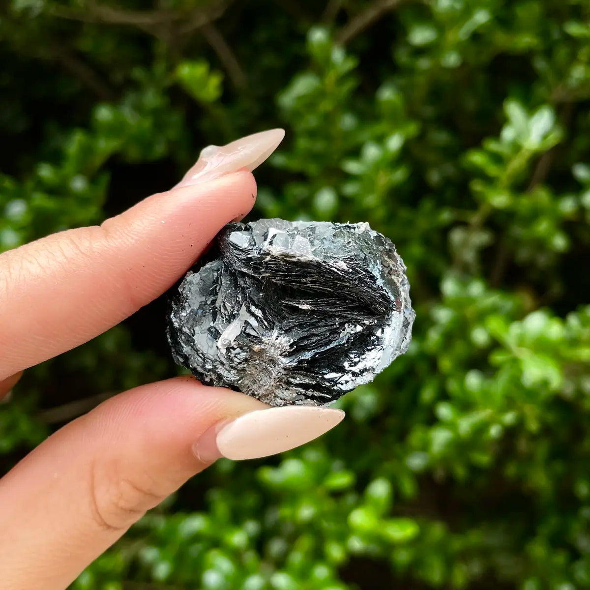 Natural Specularite  Flower on Matrix | Rare Metallic Iron Oxide Mineral Specimen from Guangdong, China | Mineral Collection Grade Display Piece | 200 g | 3.5*2.8*2.3 cm