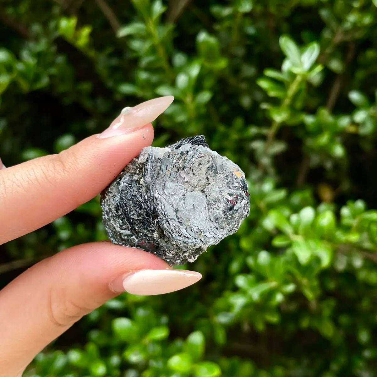 Natural Specularite  Flower on Matrix | Rare Metallic Iron Oxide Mineral Specimen from Guangdong, China | Mineral Collection Grade Display Piece | 200 g | 3.5*2.8*2.3 cm