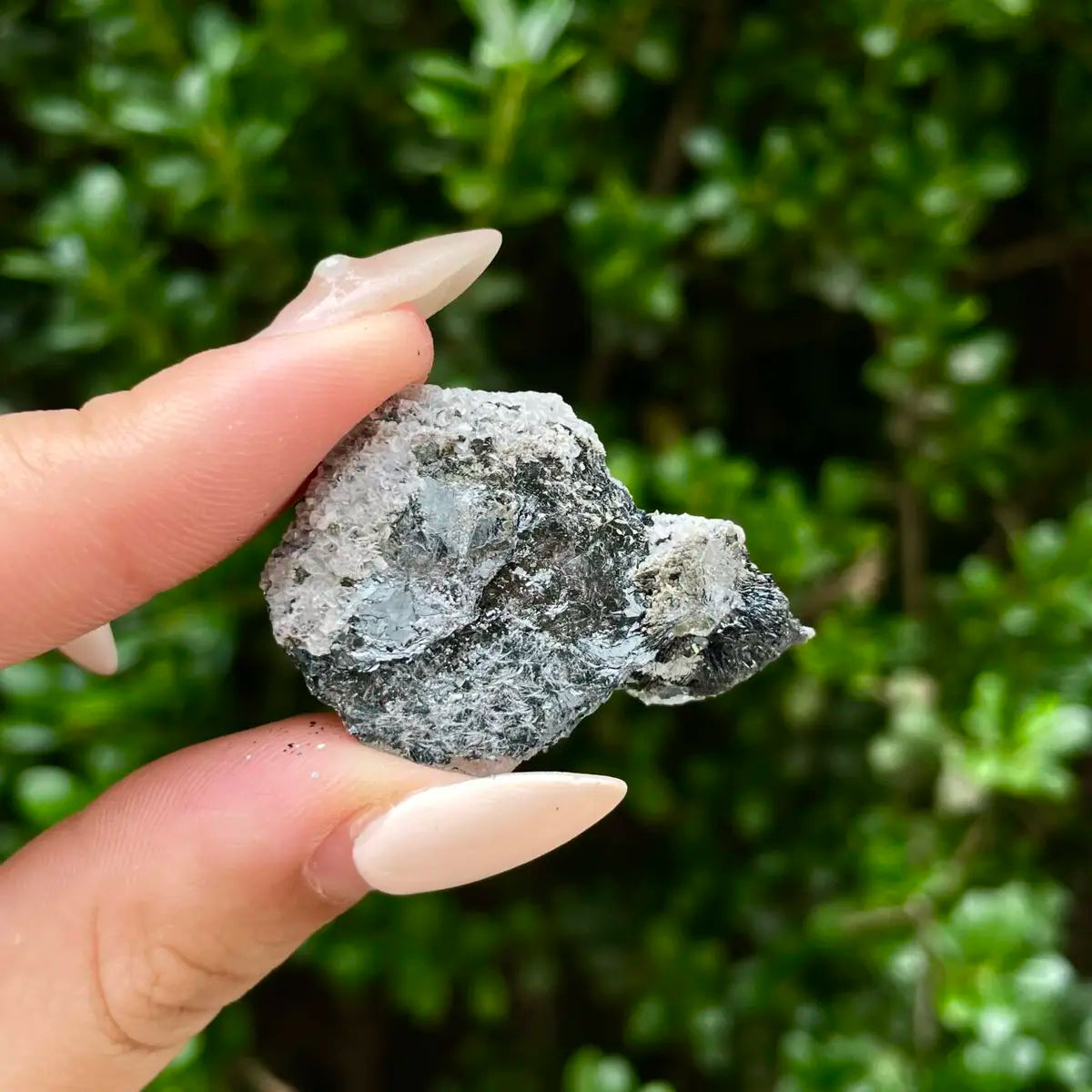 Natural Specularite  Flower on Matrix | Rare Metallic Iron Oxide Mineral Specimen from Guangdong, China | Mineral Collection Grade Display Piece | 100 g | 3.7*2.5*1.5 cm