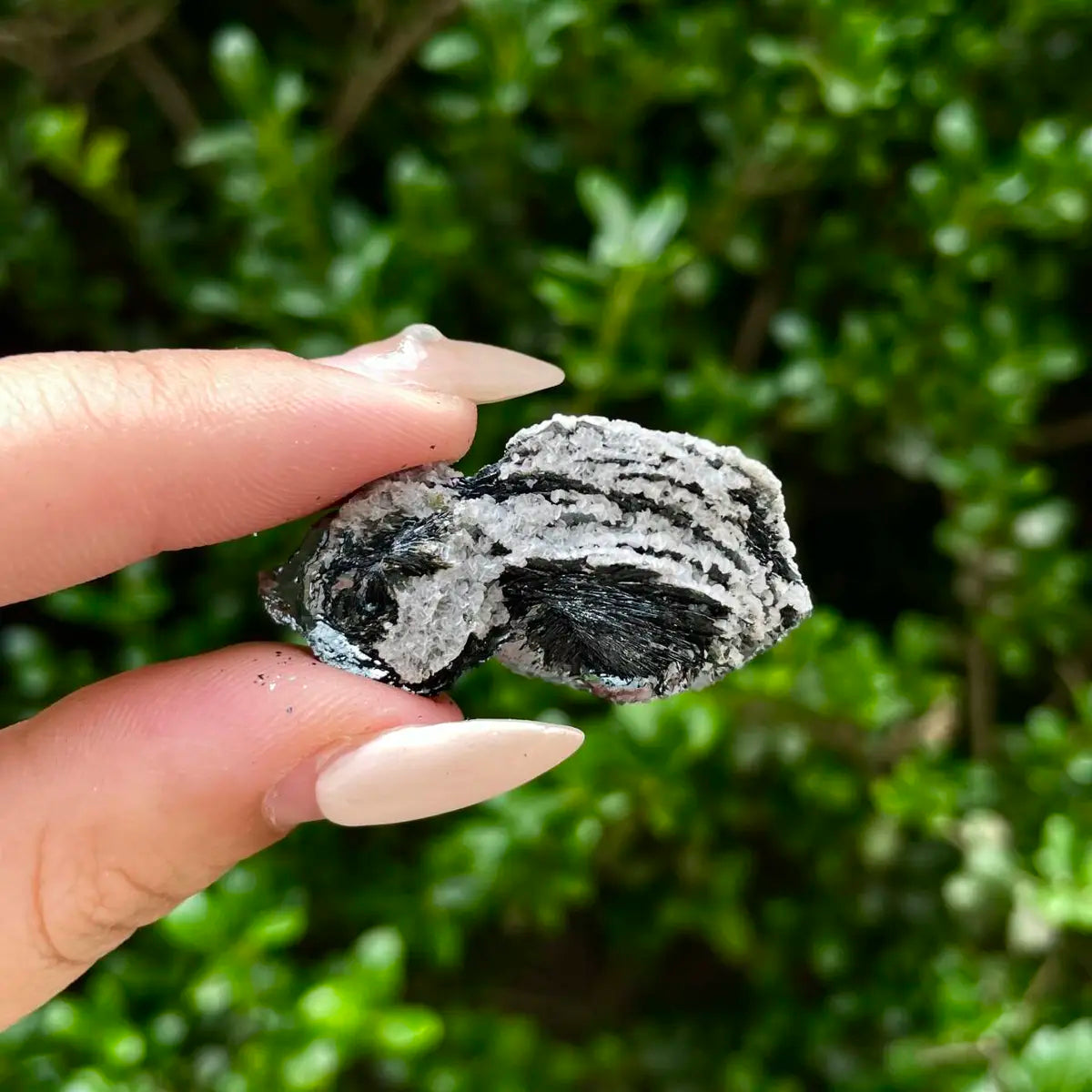 Natural Specularite  Flower on Matrix | Rare Metallic Iron Oxide Mineral Specimen from Guangdong, China | Mineral Collection Grade Display Piece | 100 g | 3.7*2.5*1.5 cm