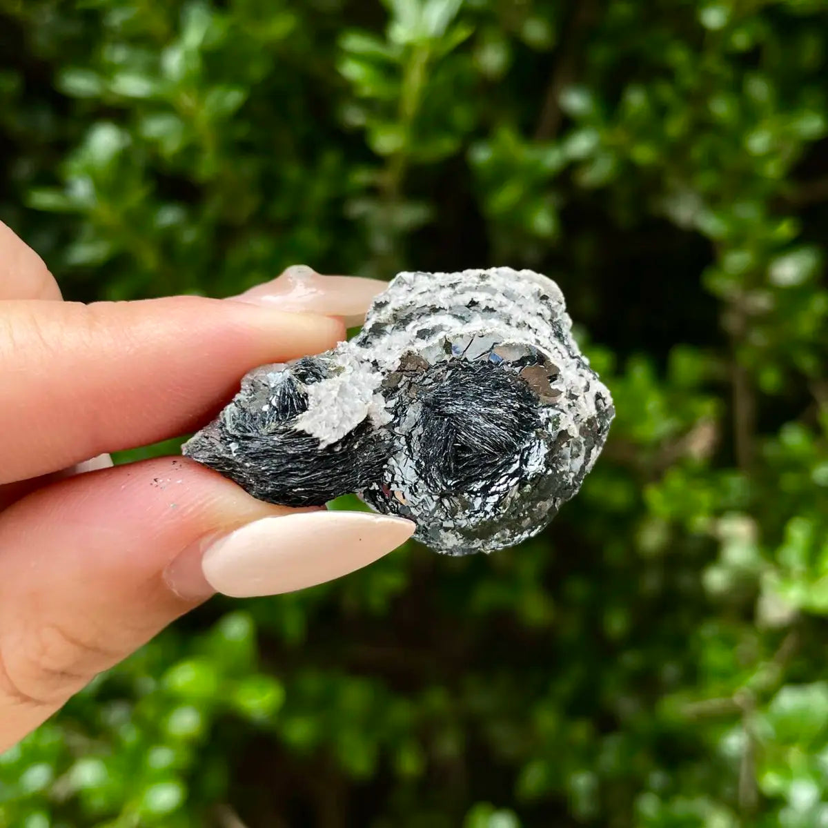 Natural Specularite  Flower on Matrix | Rare Metallic Iron Oxide Mineral Specimen from Guangdong, China | Mineral Collection Grade Display Piece | 100 g | 3.7*2.5*1.5 cm