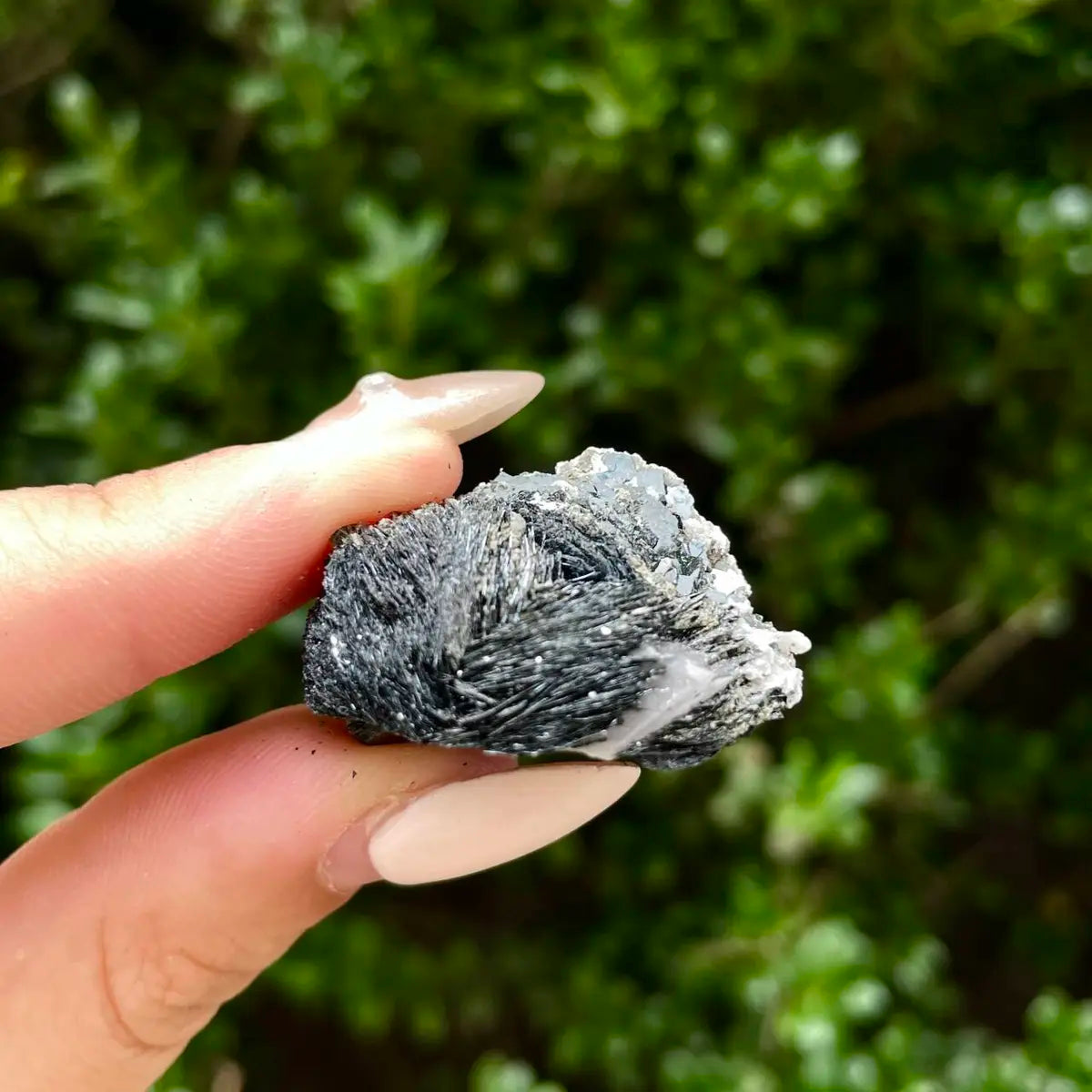 Natural Specularite  Flower on Matrix | Rare Metallic Iron Oxide Mineral Specimen from Guangdong, China | Mineral Collection Grade Display Piece | 19 g | 3*3*2 cm