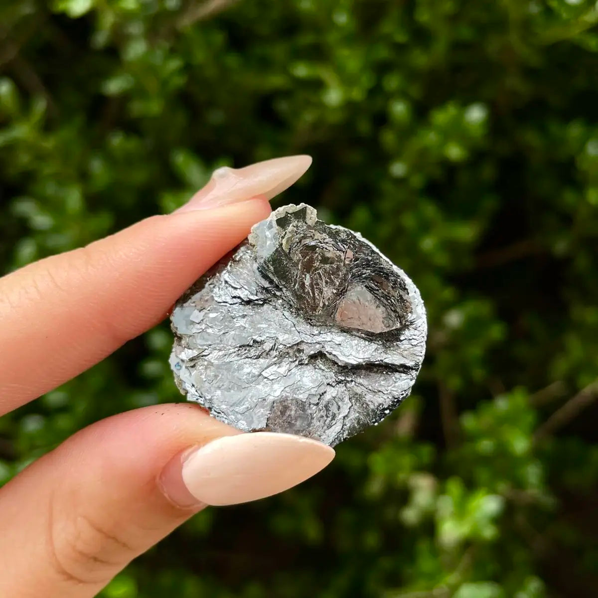 Natural Specularite  Flower on Matrix | Rare Metallic Iron Oxide Mineral Specimen from Guangdong, China | Mineral Collection Grade Display Piece | 19 g | 3*3*2 cm