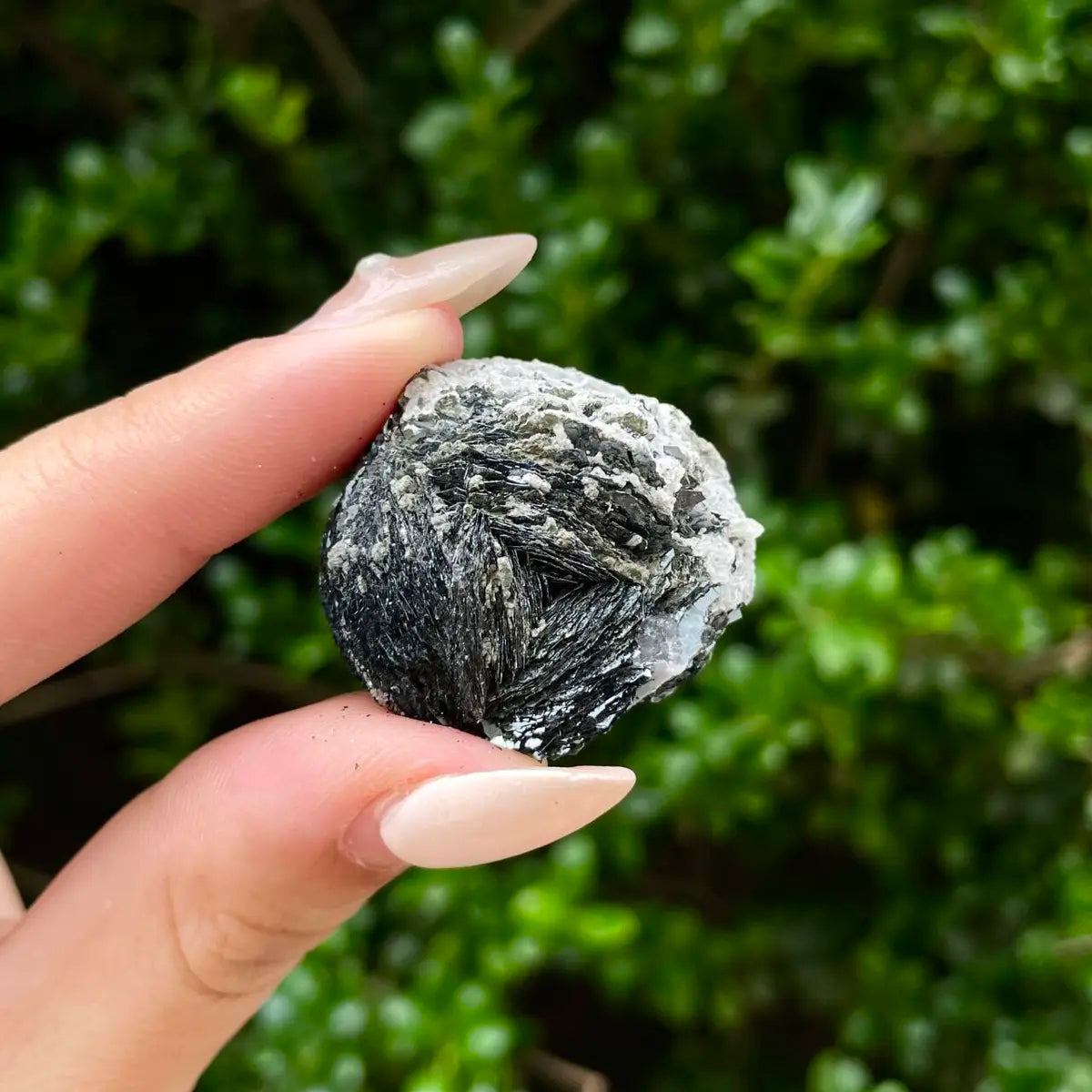 Natural Specularite  Flower on Matrix | Rare Metallic Iron Oxide Mineral Specimen from Guangdong, China | Mineral Collection Grade Display Piece | 19 g | 3*3*2 cm
