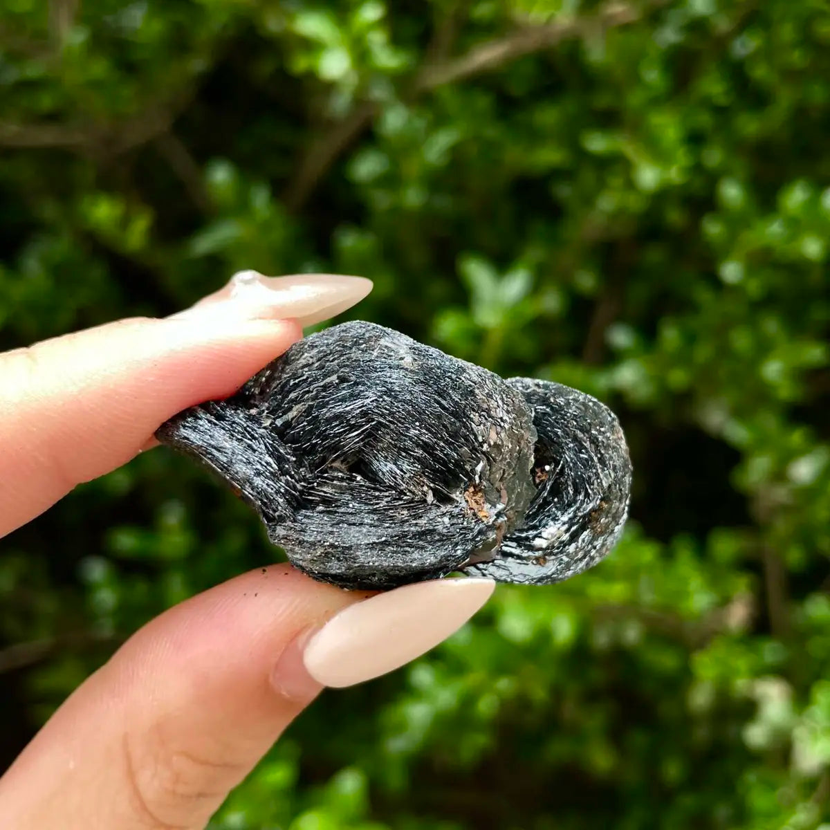 Natural Specularite  Flower on Matrix | Rare Metallic Iron Oxide Mineral Specimen from Guangdong, China | Mineral Collection Grade Display Piece | 24 g | 4.3*2*2 cm
