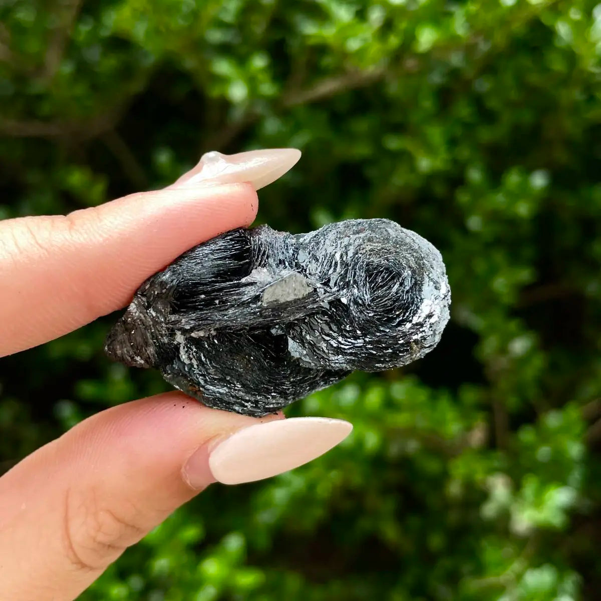 Natural Specularite  Flower on Matrix | Rare Metallic Iron Oxide Mineral Specimen from Guangdong, China | Mineral Collection Grade Display Piece | 24 g | 4.3*2*2 cm