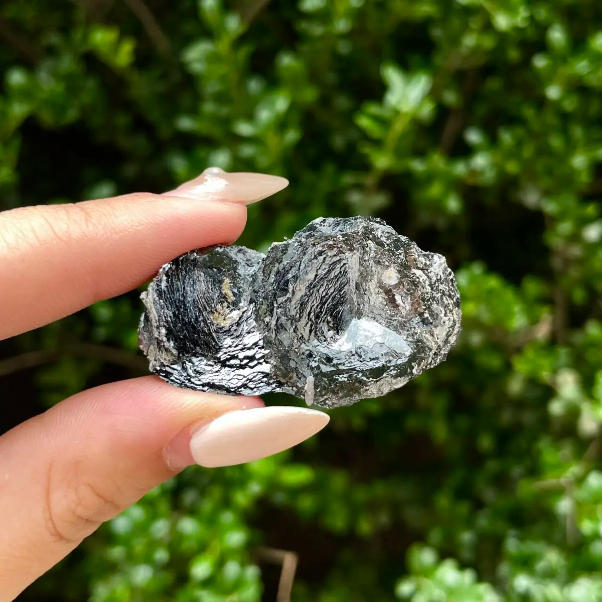 Natural Specularite  Flower on Matrix | Rare Metallic Iron Oxide Mineral Specimen from Guangdong, China | Mineral Collection Grade Display Piece | 15 g | 4.3*2.5*1.5 cm