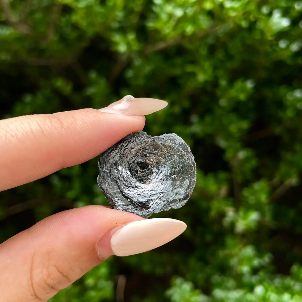 Natural Specularite  Flower on Matrix | Rare Metallic Iron Oxide Mineral Specimen from Guangdong, China | Mineral Collection Grade Display Piece | 6 g | 2.5*2*0.5 cm