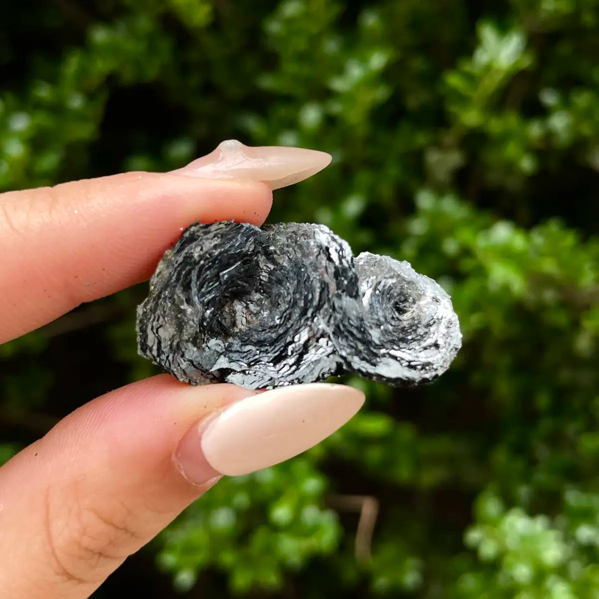 Natural Specularite  Flower on Matrix | Rare Metallic Iron Oxide Mineral Specimen from Guangdong, China | Mineral Collection Grade Display Piece | 6 g | 3.5*2*1 cm