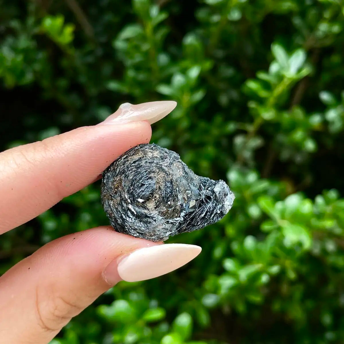 Natural Specularite  Flower on Matrix | Rare Metallic Iron Oxide Mineral Specimen from Guangdong, China | Mineral Collection Grade Display Piece | 9.7 g | 3*2.2*1.5 cm