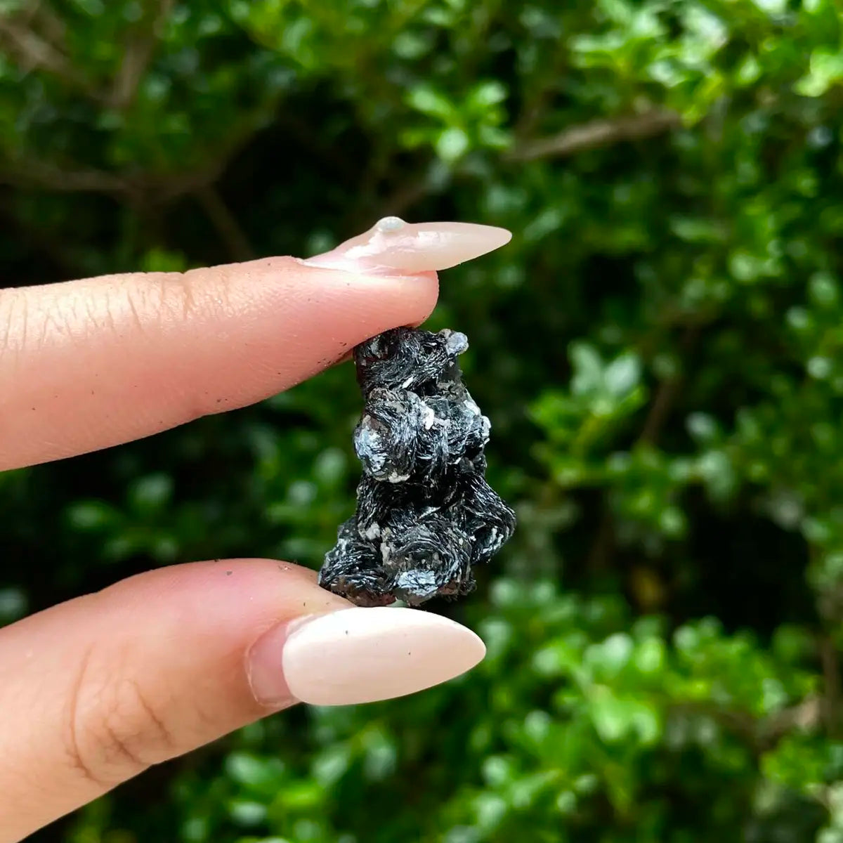 Natural Specularite  Flower on Matrix | Rare Metallic Iron Oxide Mineral Specimen from Guangdong, China | Mineral Collection Grade Display Piece | 7 g | 2.5*3*1.5 cm
