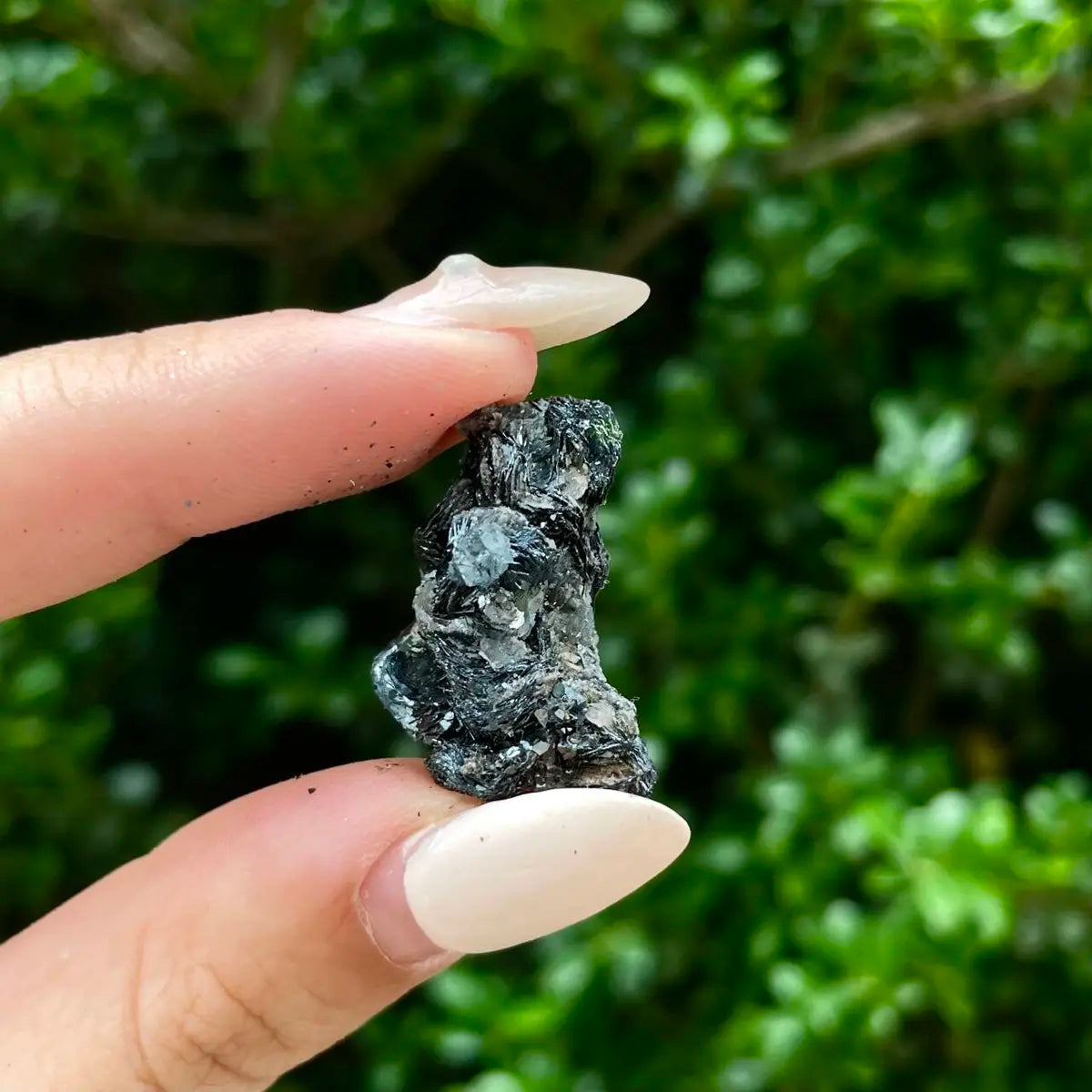 Natural Specularite  Flower on Matrix | Rare Metallic Iron Oxide Mineral Specimen from Guangdong, China | Mineral Collection Grade Display Piece | 7 g | 2.5*3*1.5 cm
