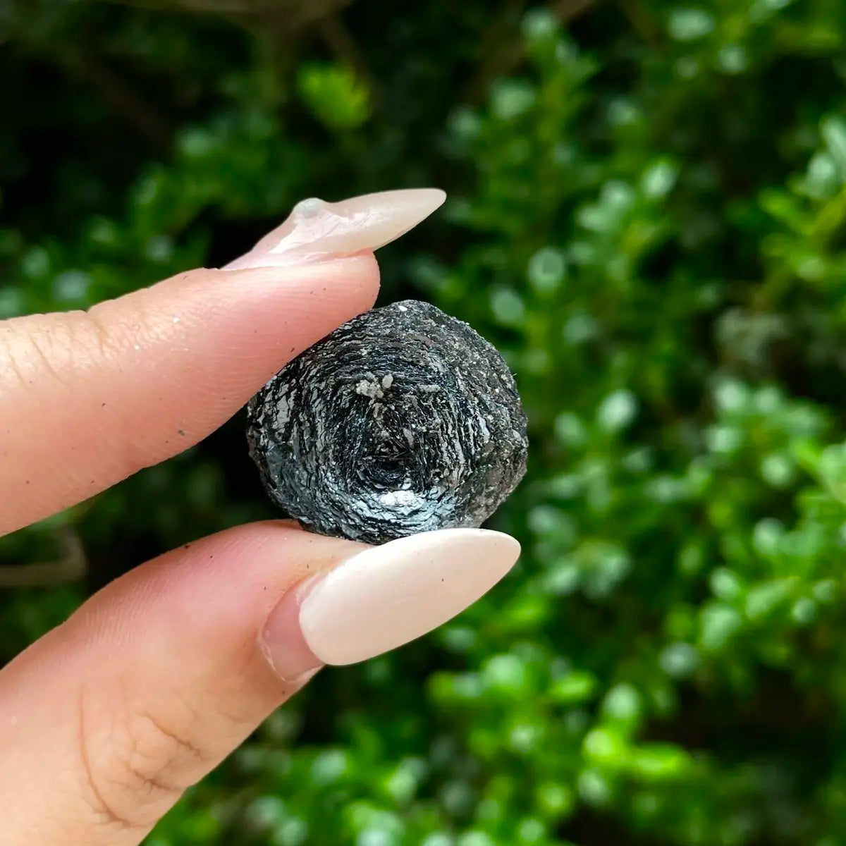 Natural Specularite  Flower on Matrix | Rare Metallic Iron Oxide Mineral Specimen from Guangdong, China | Mineral Collection Grade Display Piece | 3.8 g | 2*2*0.5 cm