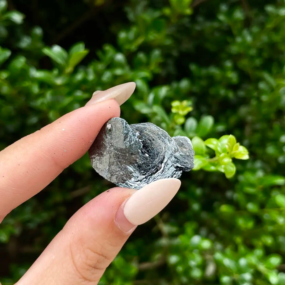 Natural Specularite  Flower on Matrix | Rare Metallic Iron Oxide Mineral Specimen from Guangdong, China | Mineral Collection Grade Display Piece | 9 g | 3*2*1 cm