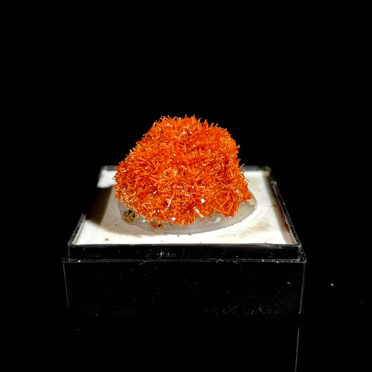 Natural Australian Crocoite Crystal Specimen | Rare Lead Chromate Mineral on Matrix | Collector’s Grade |  2.5*2*1 cm