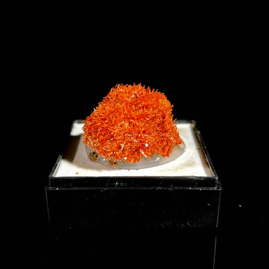 B54-Natural Australian Crocoite Crystal Specimen | Rare Lead Chromate Mineral on Matrix | Collector’s Grade |  2.5*2*1 cm