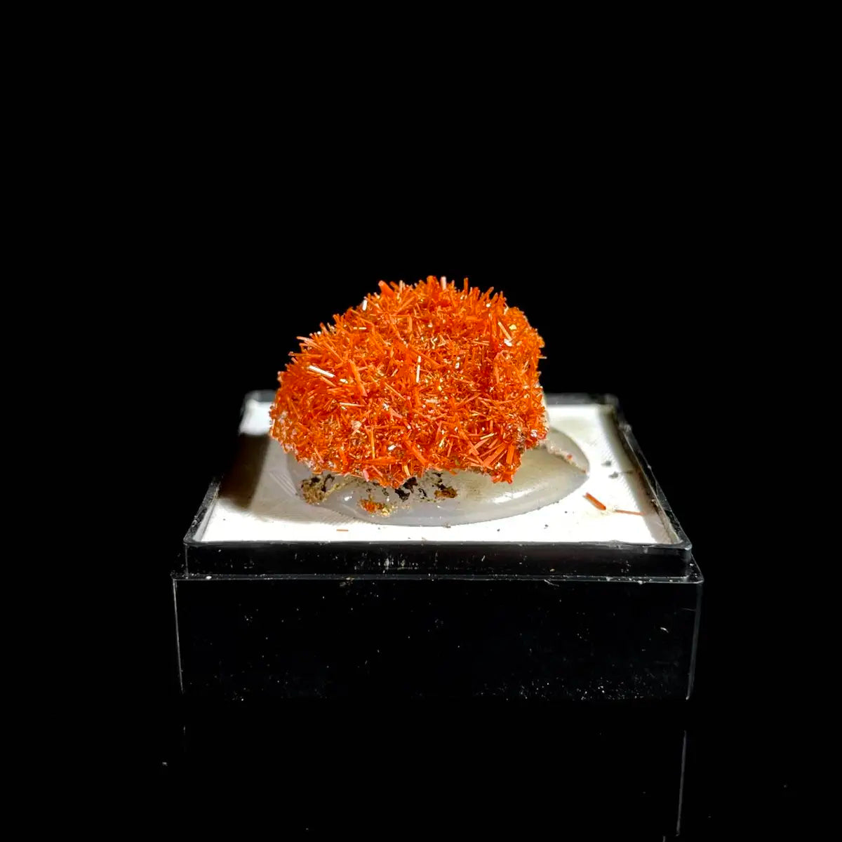 Natural Australian Crocoite Crystal Specimen | Rare Lead Chromate Mineral on Matrix | Collector’s Grade |  2.5*2*1 cm