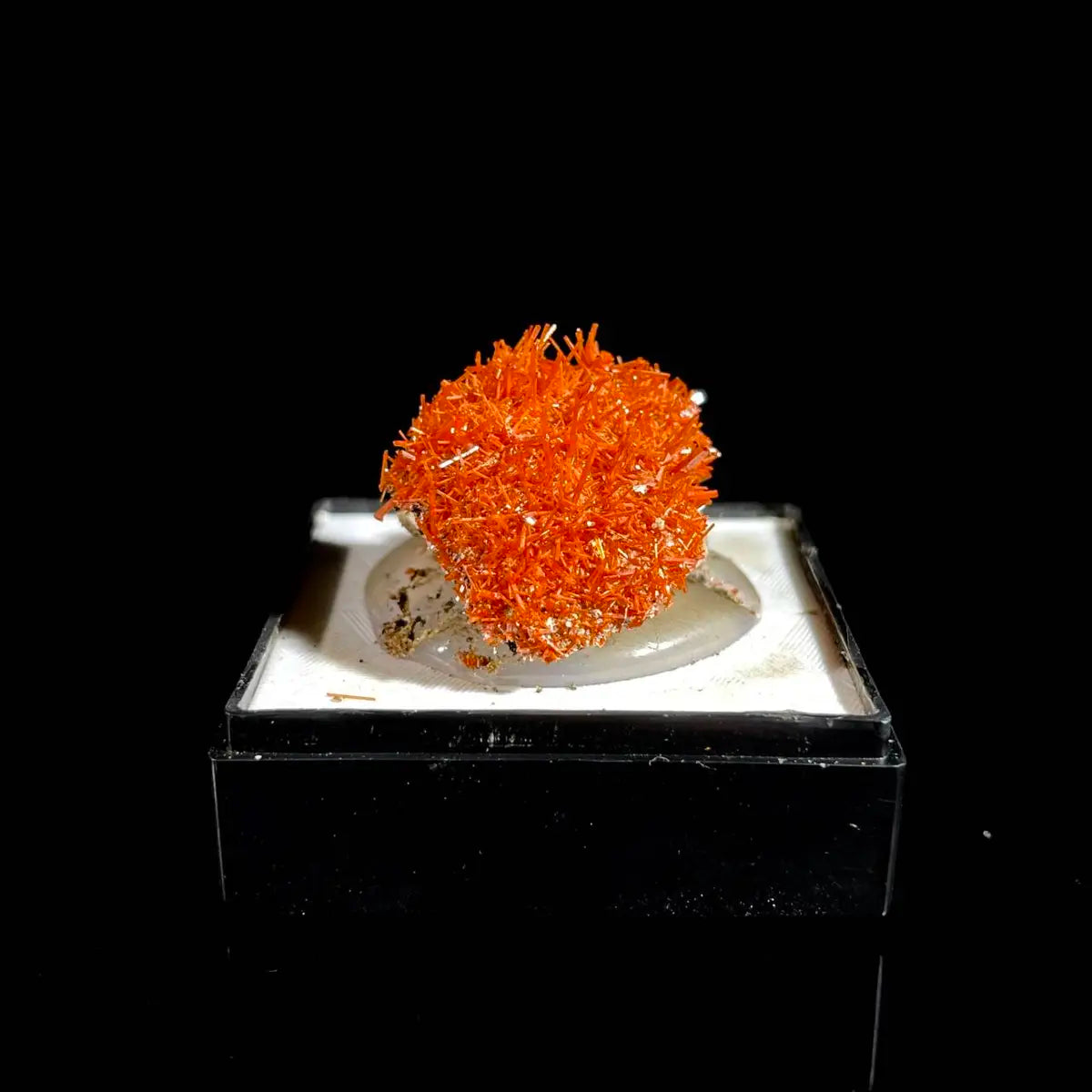 Natural Australian Crocoite Crystal Specimen | Rare Lead Chromate Mineral on Matrix | Collector’s Grade |  2.5*2*1 cm