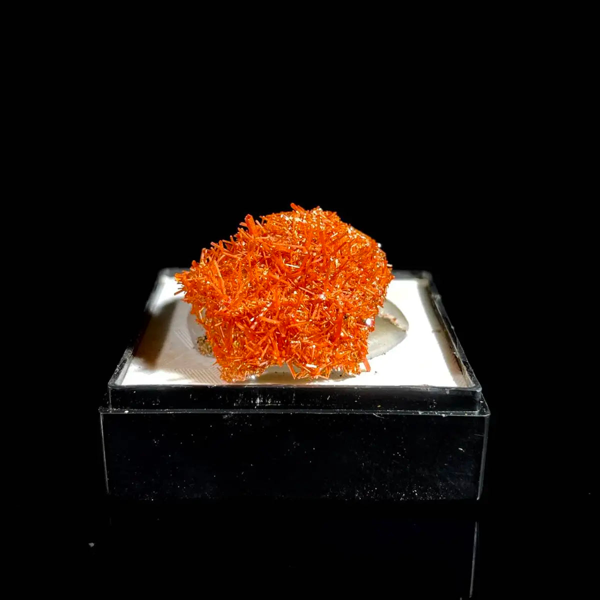 Natural Australian Crocoite Crystal Specimen | Rare Lead Chromate Mineral on Matrix | Collector’s Grade |  2.5*2*1 cm