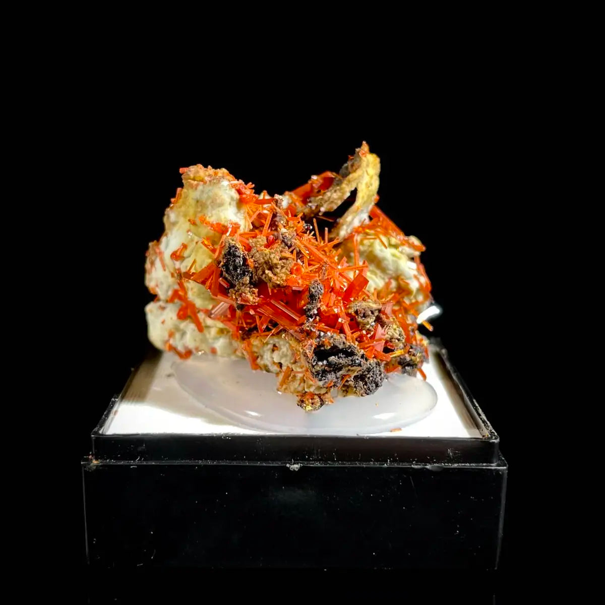 Natural Australian Crocoite Crystal Specimen | Rare Lead Chromate Mineral on Matrix | Collector’s Grade |  3.5*3*2.5 cm