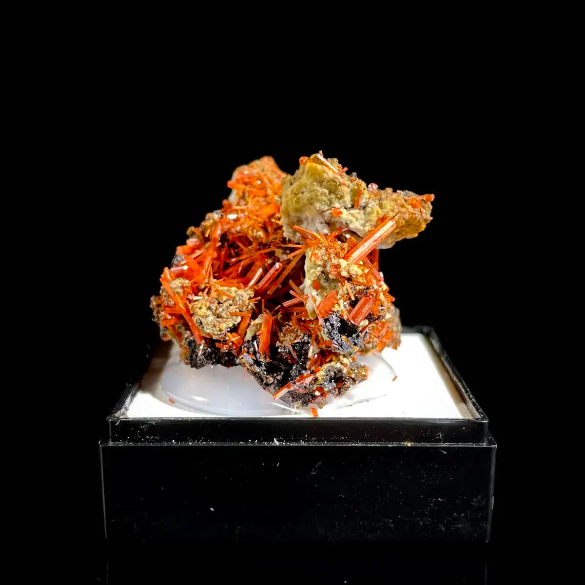 Natural Australian Crocoite Crystal Specimen | Rare Lead Chromate Mineral on Matrix | Collector’s Grade |  3.5*3*2.5 cm