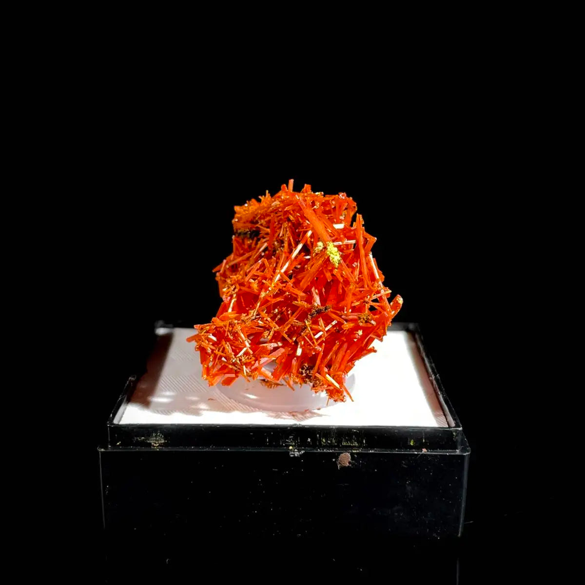 Natural Australian Crocoite Crystal Specimen | Rare Lead Chromate Mineral on Matrix | Collector’s Grade |  2.5*3*2.5 cm