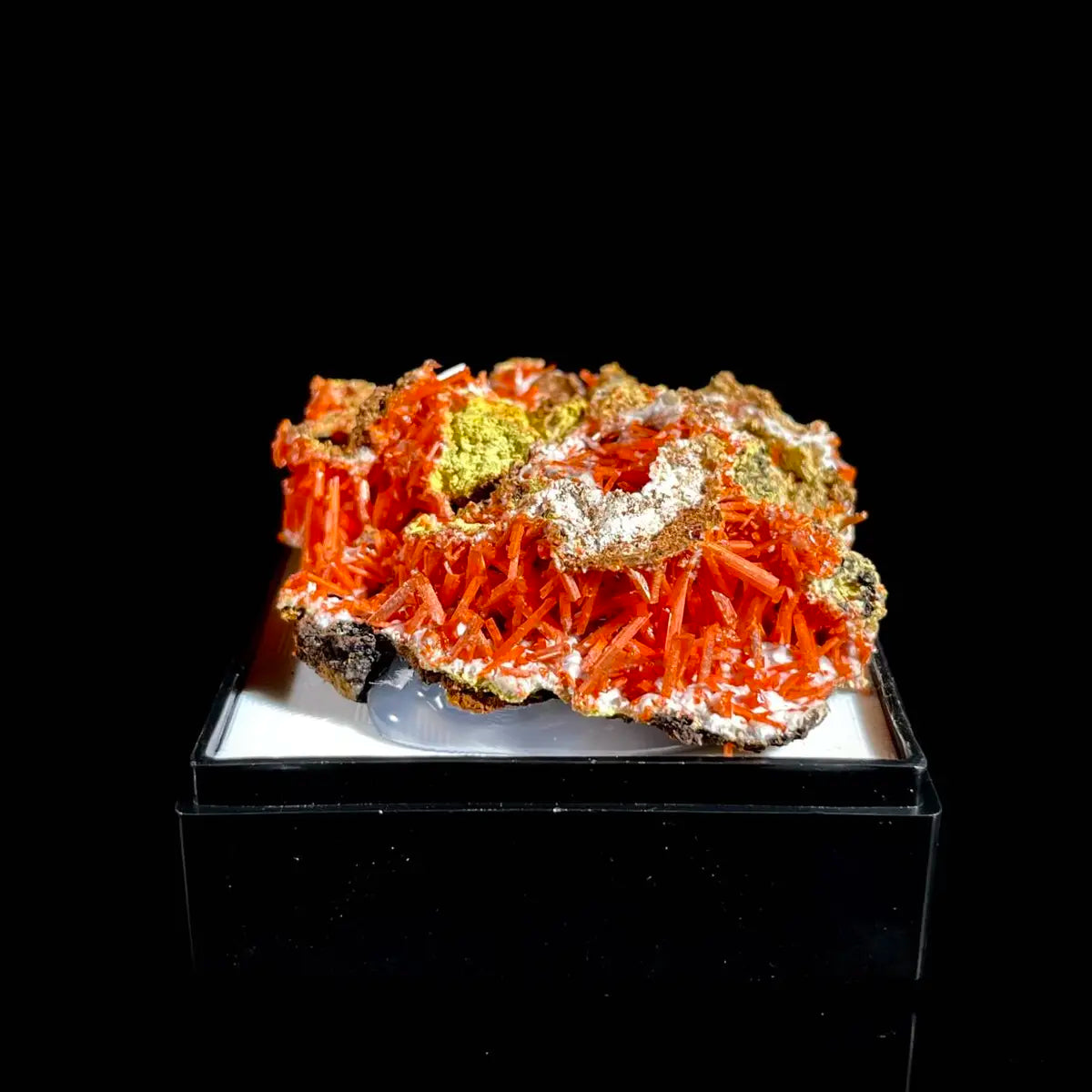 Natural Australian Crocoite Crystal Specimen | Rare Lead Chromate Mineral on Matrix | Collector’s Grade |  5*3.5*1 cm