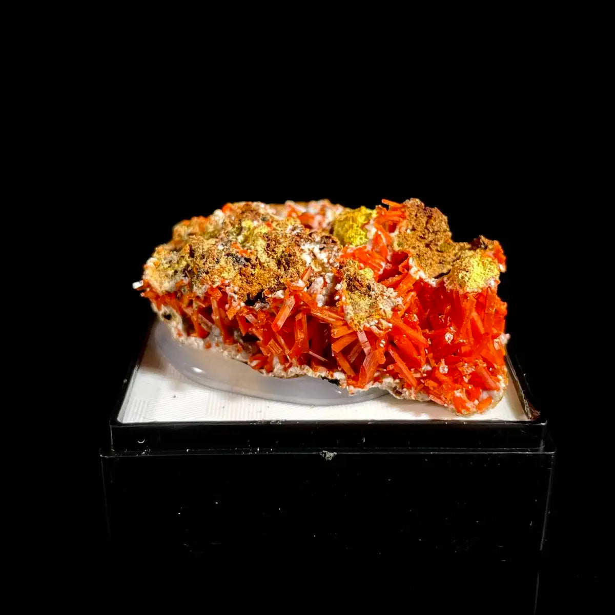 Natural Australian Crocoite Crystal Specimen | Rare Lead Chromate Mineral on Matrix | Collector’s Grade |  5*3.5*1 cm