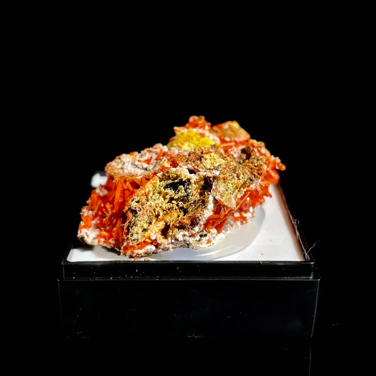 Natural Australian Crocoite Crystal Specimen | Rare Lead Chromate Mineral on Matrix | Collector’s Grade |  5*3.5*1 cm