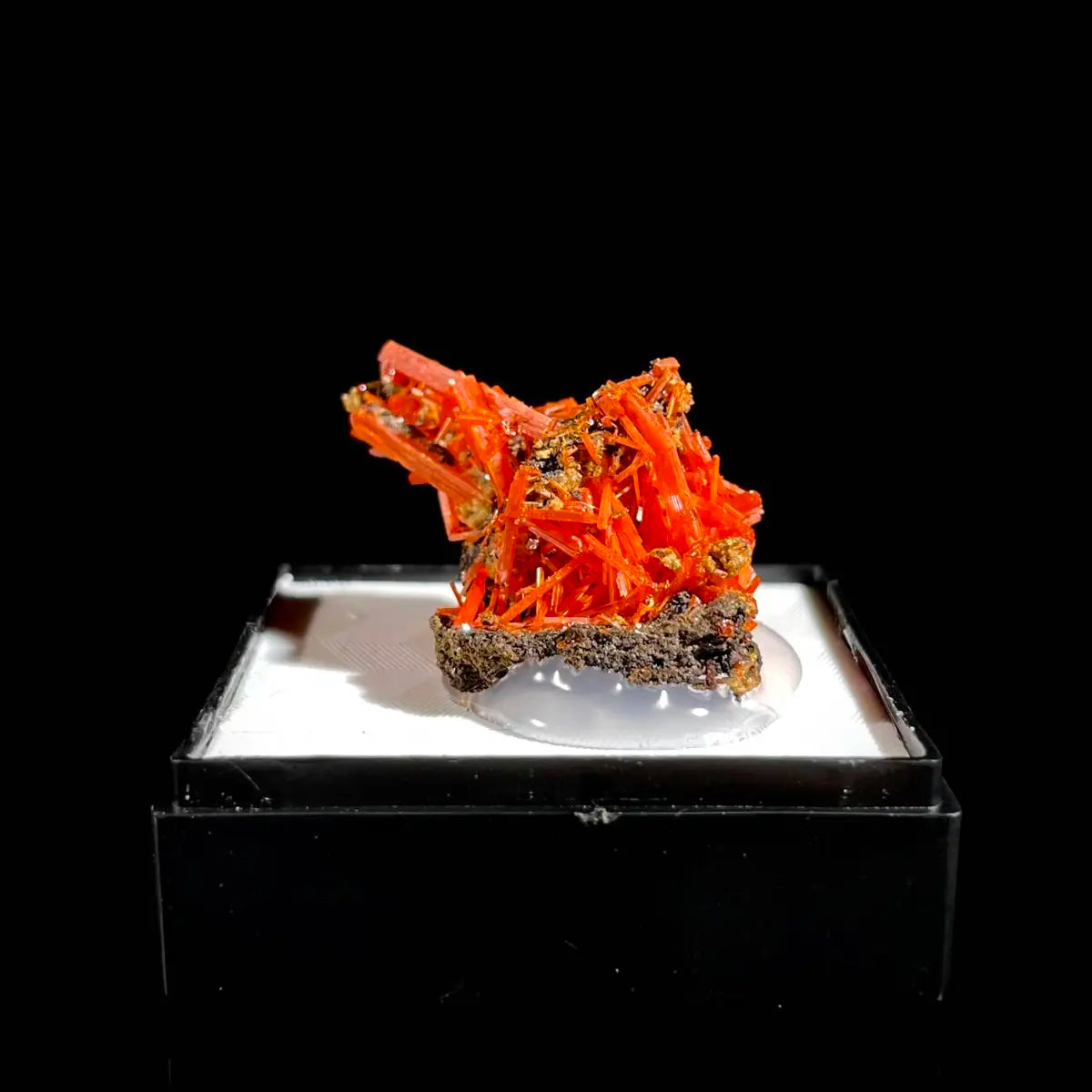 Natural Australian Crocoite Crystal Specimen | Rare Lead Chromate Mineral on Matrix | Collector’s Grade |  3.5*2*2 cm