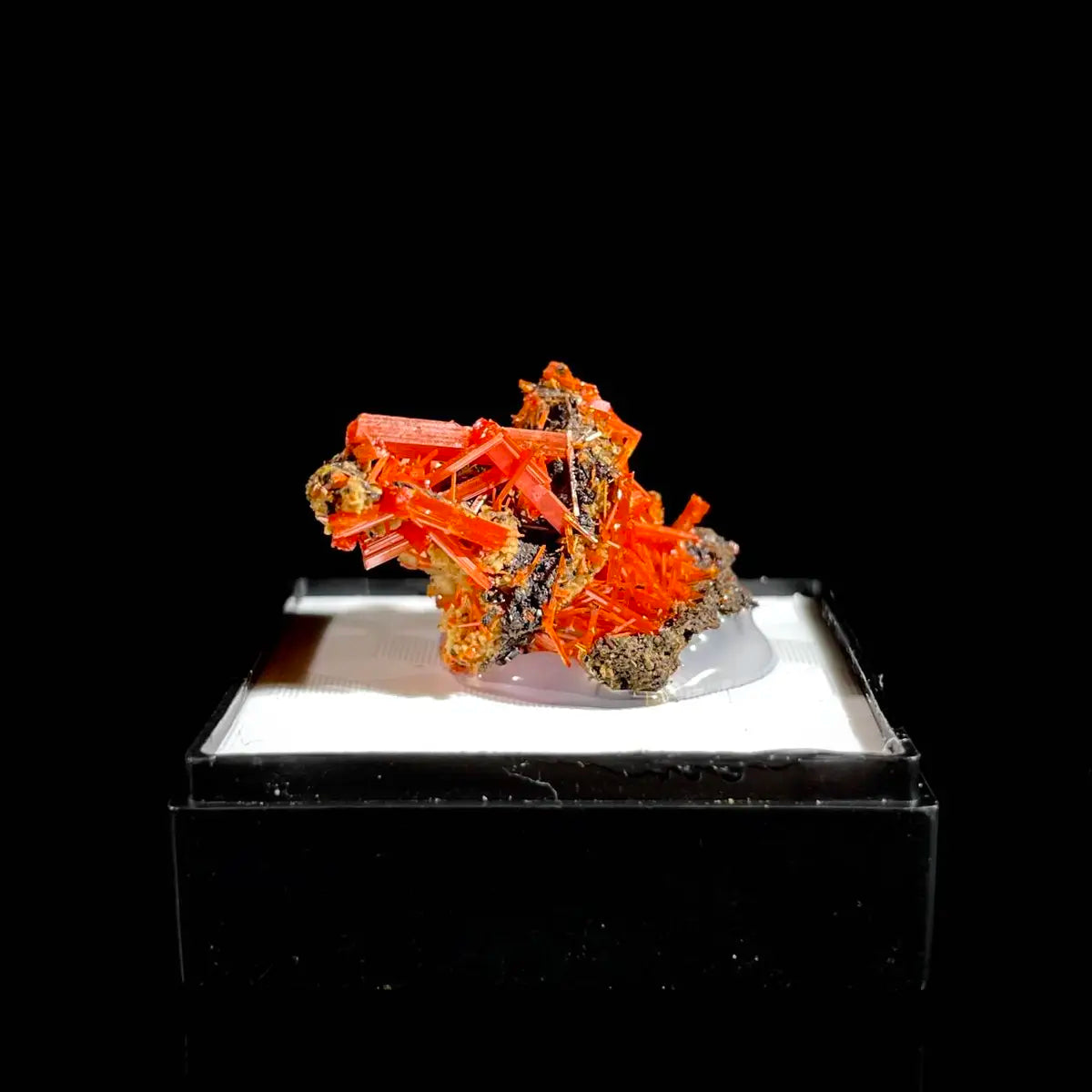 Natural Australian Crocoite Crystal Specimen | Rare Lead Chromate Mineral on Matrix | Collector’s Grade |  3.5*2*2 cm