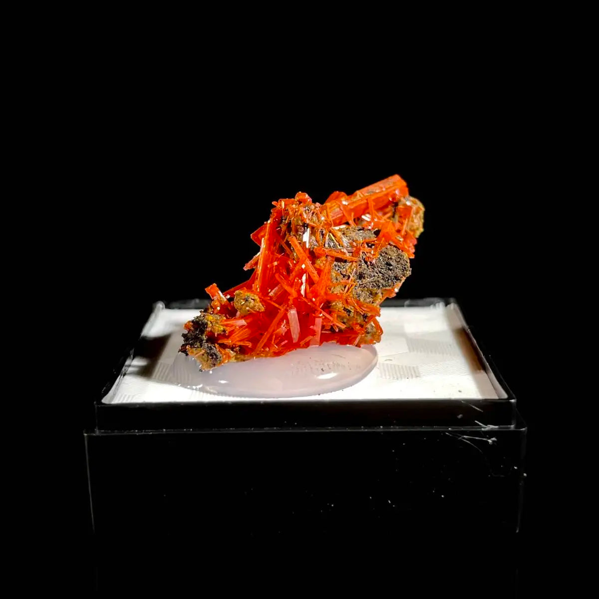 Natural Australian Crocoite Crystal Specimen | Rare Lead Chromate Mineral on Matrix | Collector’s Grade |  3.5*2*2 cm