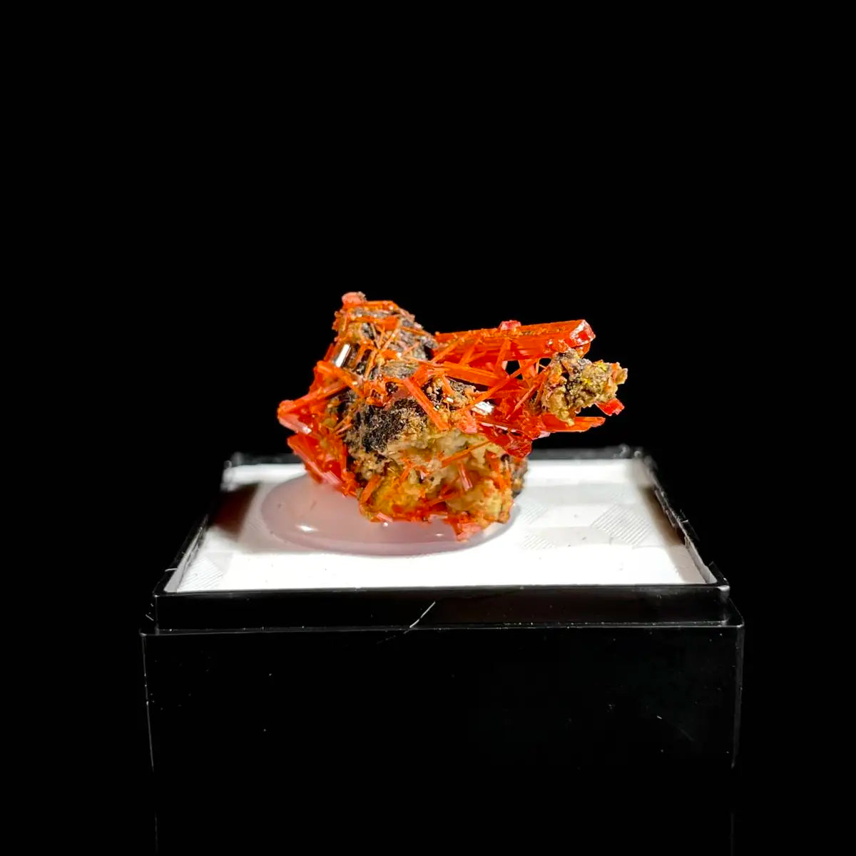 Natural Australian Crocoite Crystal Specimen | Rare Lead Chromate Mineral on Matrix | Collector’s Grade |  3.5*2*2 cm