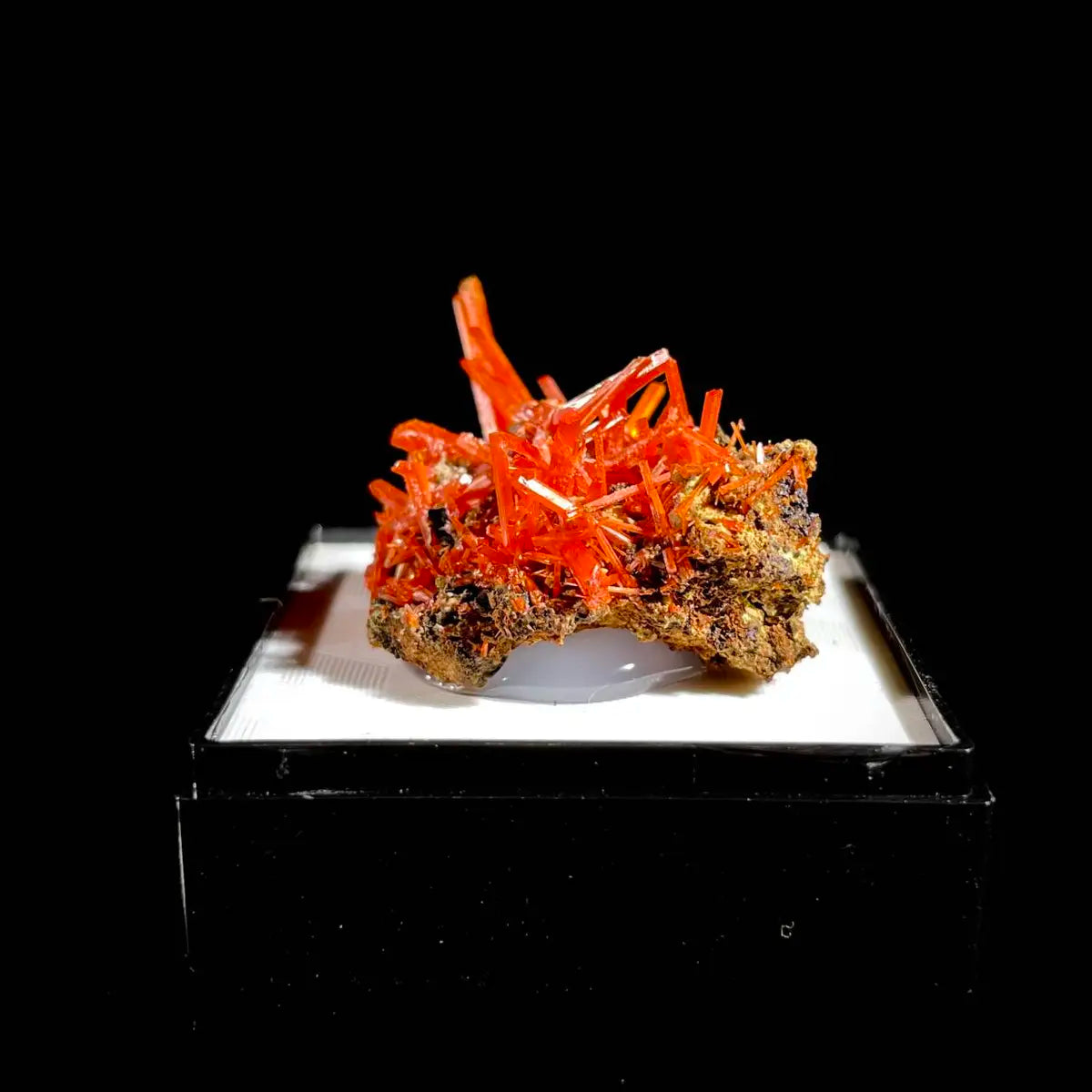 Natural Australian Crocoite Crystal Specimen | Rare Lead Chromate Mineral on Matrix | Collector’s Grade |  3*2.5*2 cm