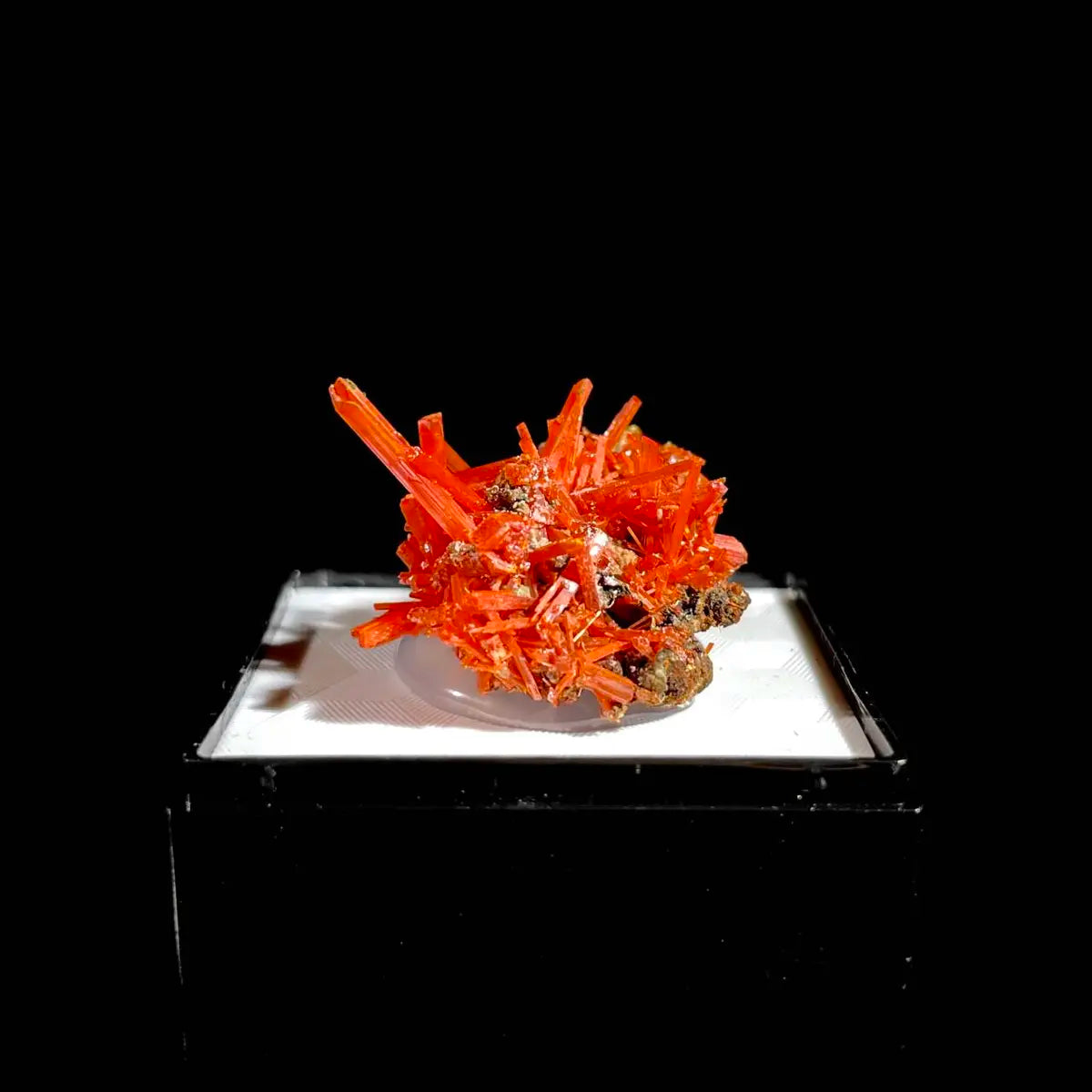 Natural Australian Crocoite Crystal Specimen | Rare Lead Chromate Mineral on Matrix | Collector’s Grade |  3*2.5*2 cm