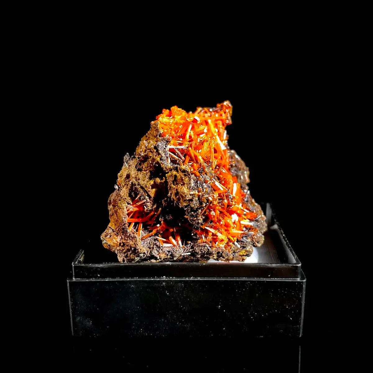 Natural Australian Crocoite Crystal Specimen | Rare Lead Chromate Mineral on Matrix | Collector’s Grade |  3.5*3*3 cm