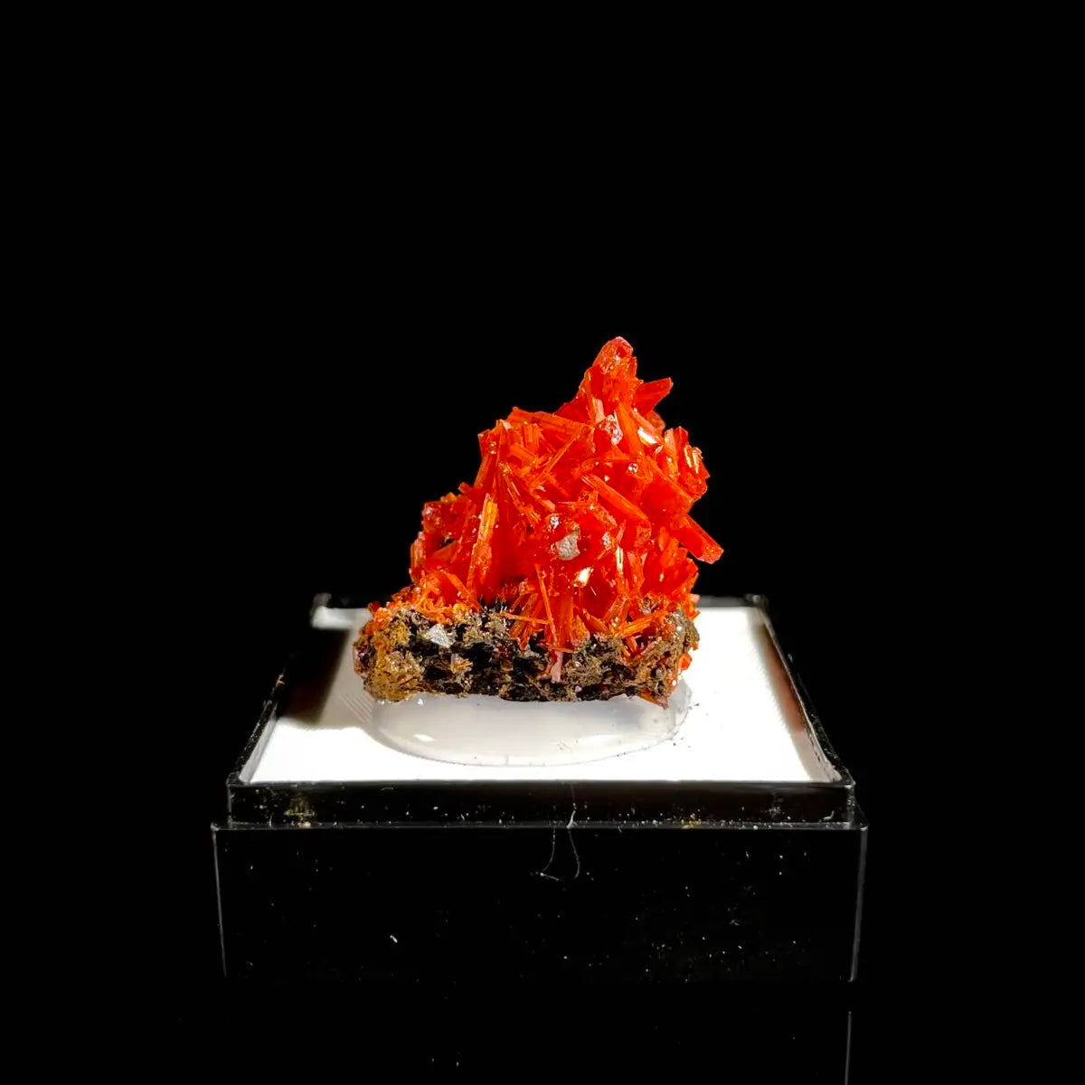 Natural Australian Crocoite Crystal Specimen | Rare Lead Chromate Mineral on Matrix | Collector’s Grade |  2.5*2.5*2 cm