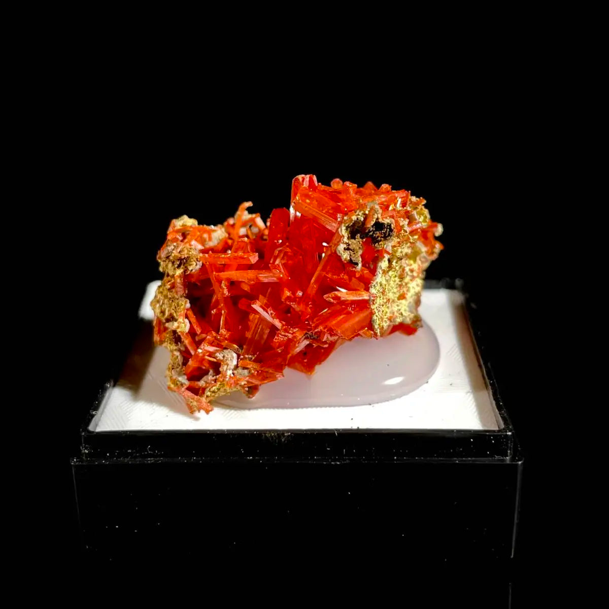Natural Australian Crocoite Crystal Specimen | Rare Lead Chromate Mineral on Matrix | Collector’s Grade |  3*3*2 cm