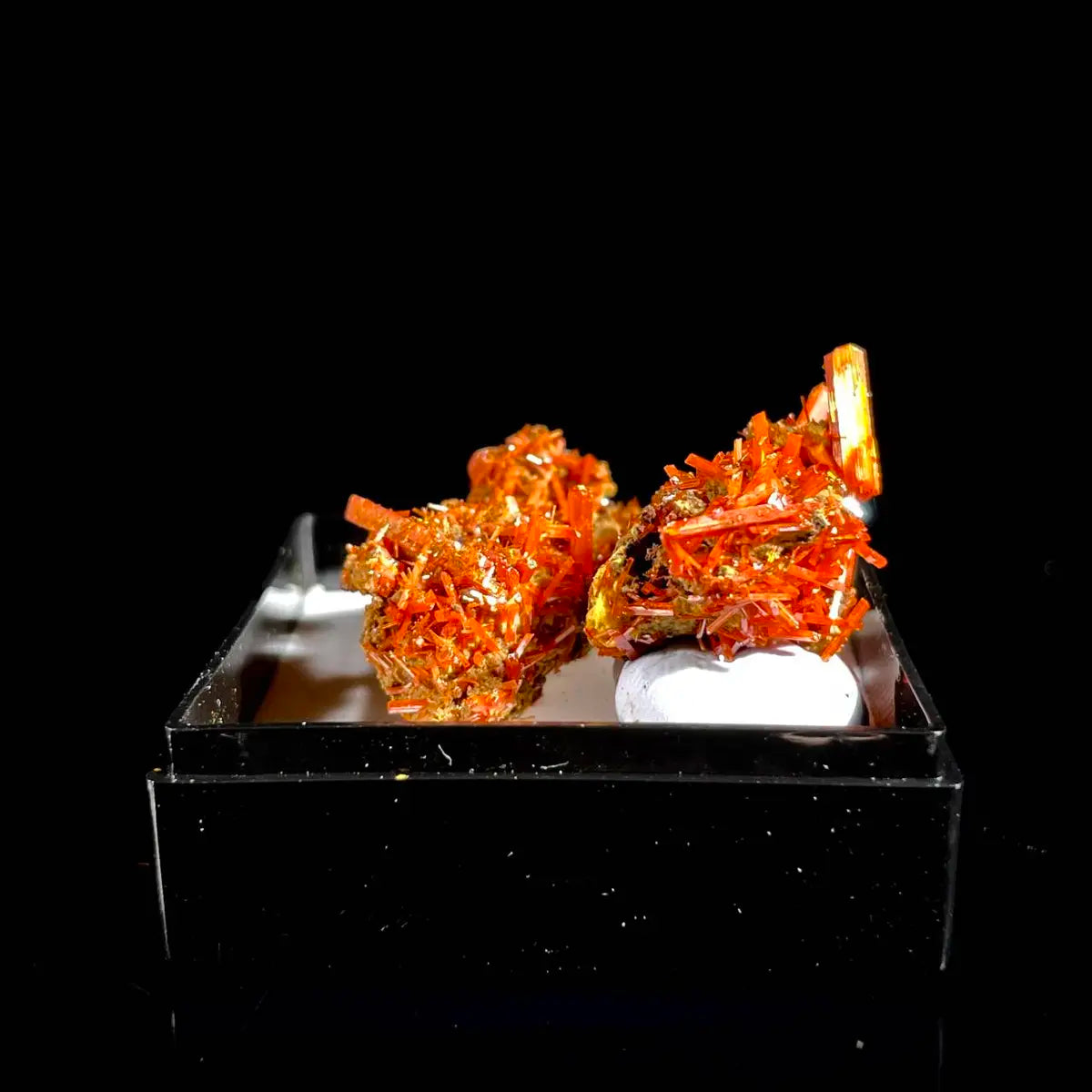 Natural Australian Crocoite Crystal Specimen | Rare Lead Chromate Mineral on Matrix | Collector’s Grade |  3*1.5*1+2.5*1.5*1.5 cm