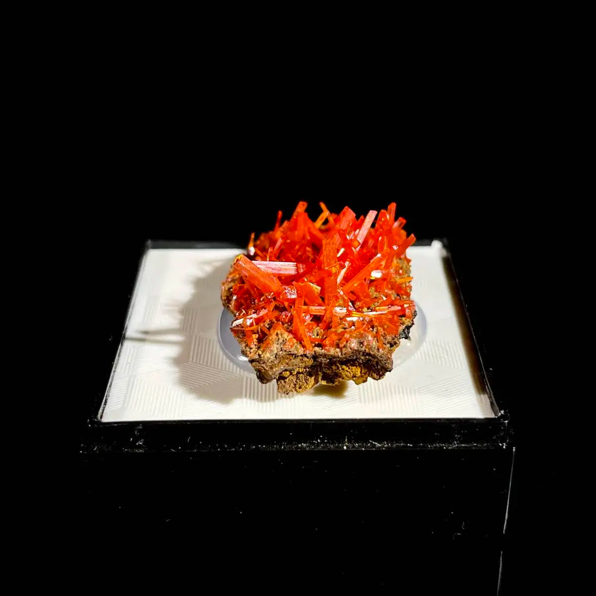 Natural Australian Crocoite Crystal Specimen | Rare Lead Chromate Mineral on Matrix | Collector’s Grade |  3.5*2*1 cm