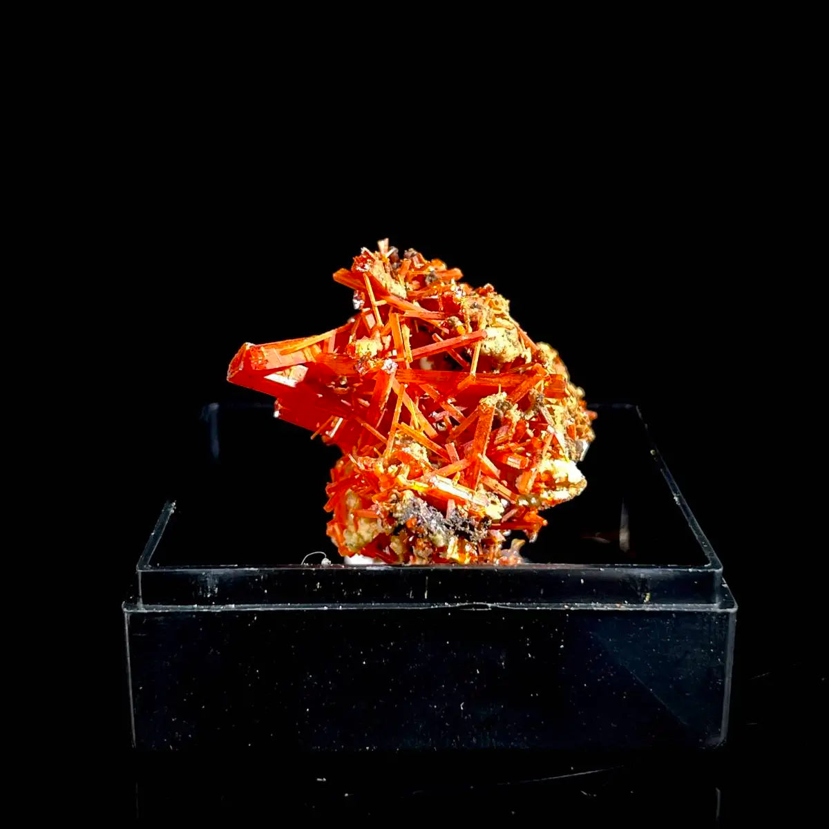 Natural Australian Crocoite Crystal Specimen | Rare Lead Chromate Mineral on Matrix | Collector’s Grade |  3.5*2.5*2.5 cm