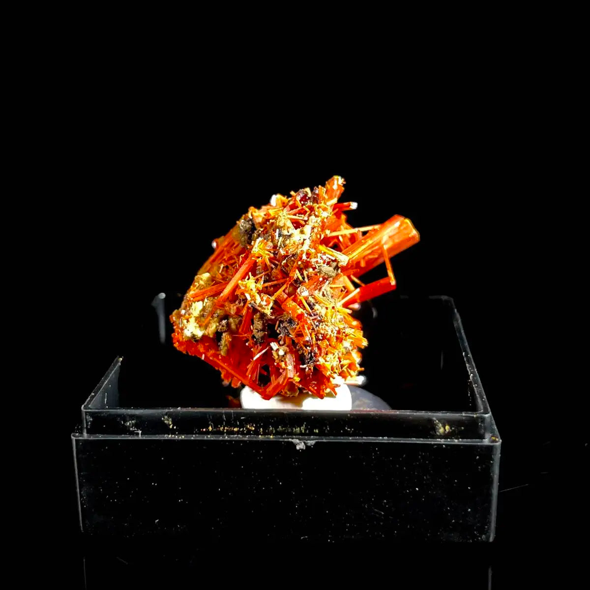Natural Australian Crocoite Crystal Specimen | Rare Lead Chromate Mineral on Matrix | Collector’s Grade |  3.5*2.5*2.5 cm