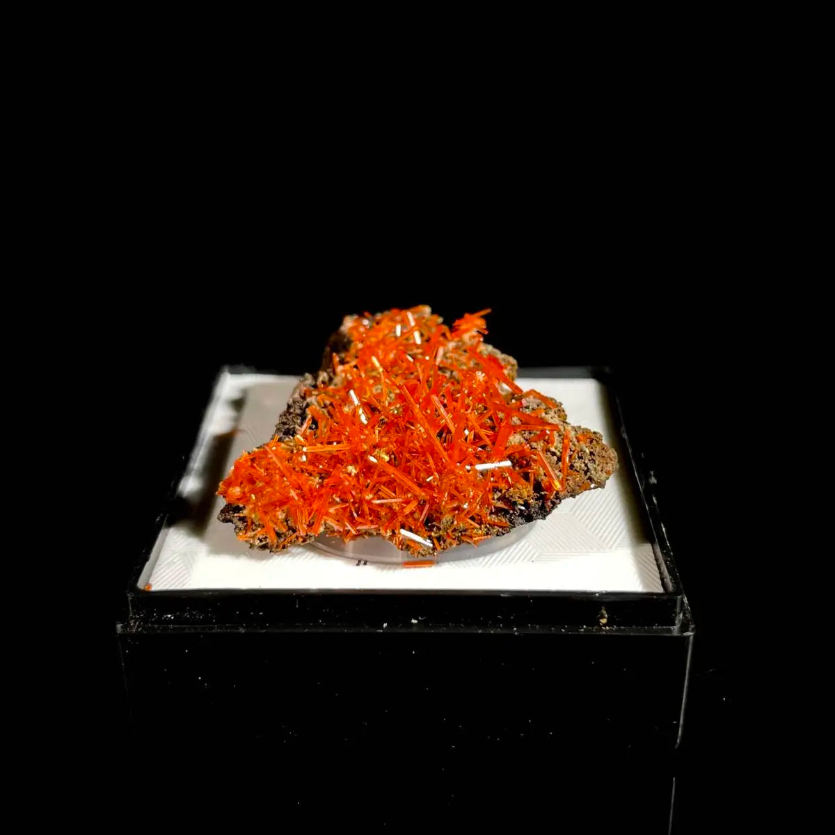 Natural Australian Crocoite Crystal Specimen | Rare Lead Chromate Mineral on Matrix | Collector’s Grade |  3*3*1 cm
