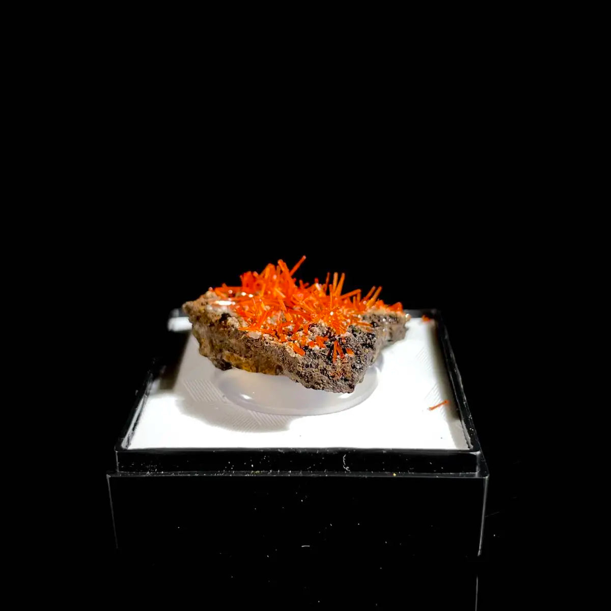 Natural Australian Crocoite Crystal Specimen | Rare Lead Chromate Mineral on Matrix | Collector’s Grade |  3*3*1 cm
