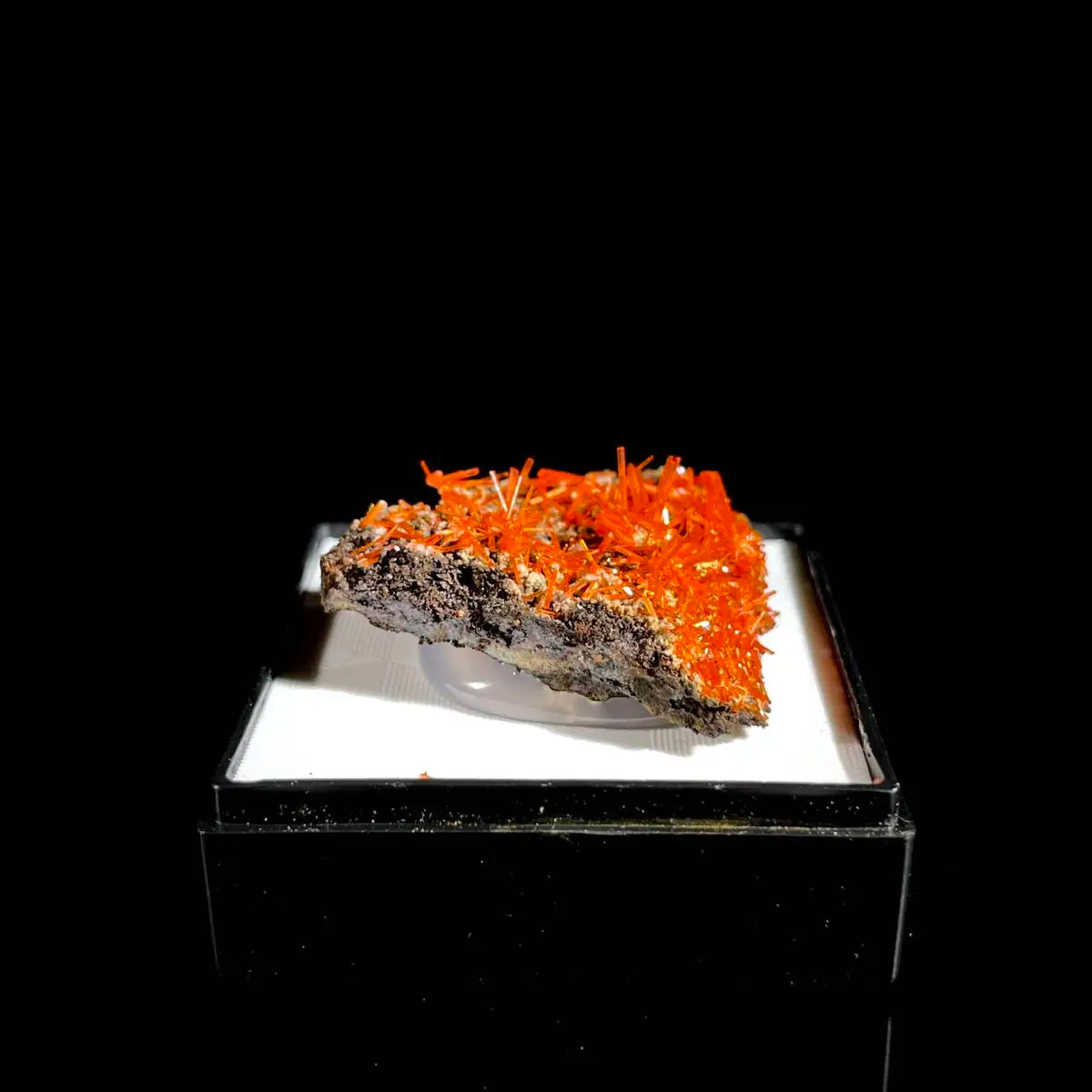 Natural Australian Crocoite Crystal Specimen | Rare Lead Chromate Mineral on Matrix | Collector’s Grade |  3*3*1 cm